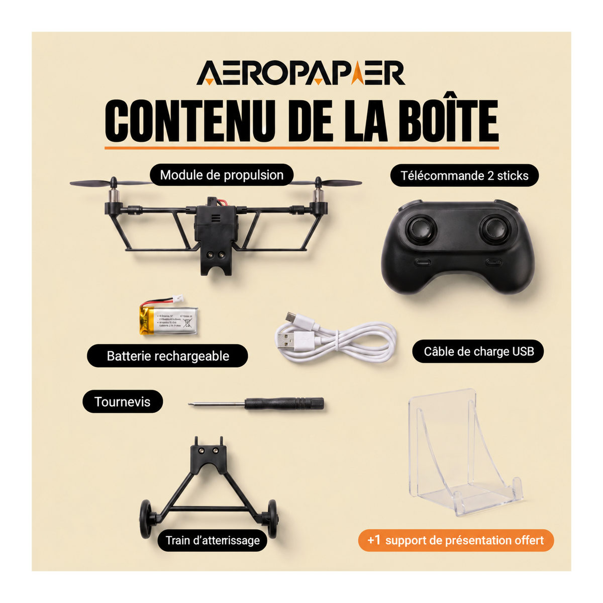 Kit Avion en Papier Télécommandé AeroPapier
