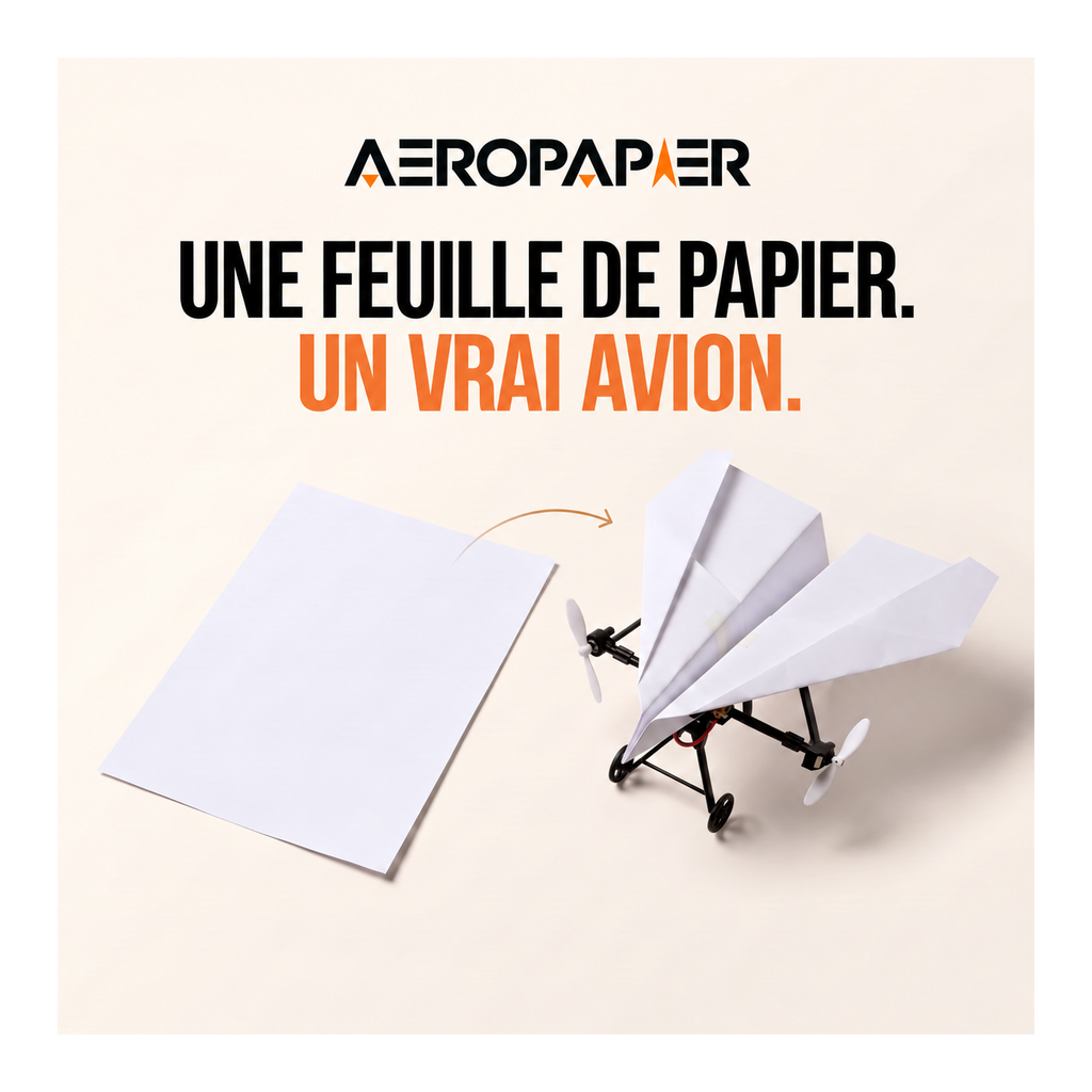 Kit Avion en Papier Télécommandé AeroPapier