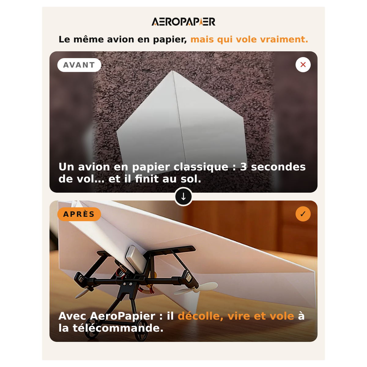 Kit Avion en Papier Télécommandé AeroPapier